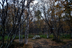 20190915_193715