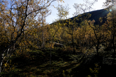 DSC09329